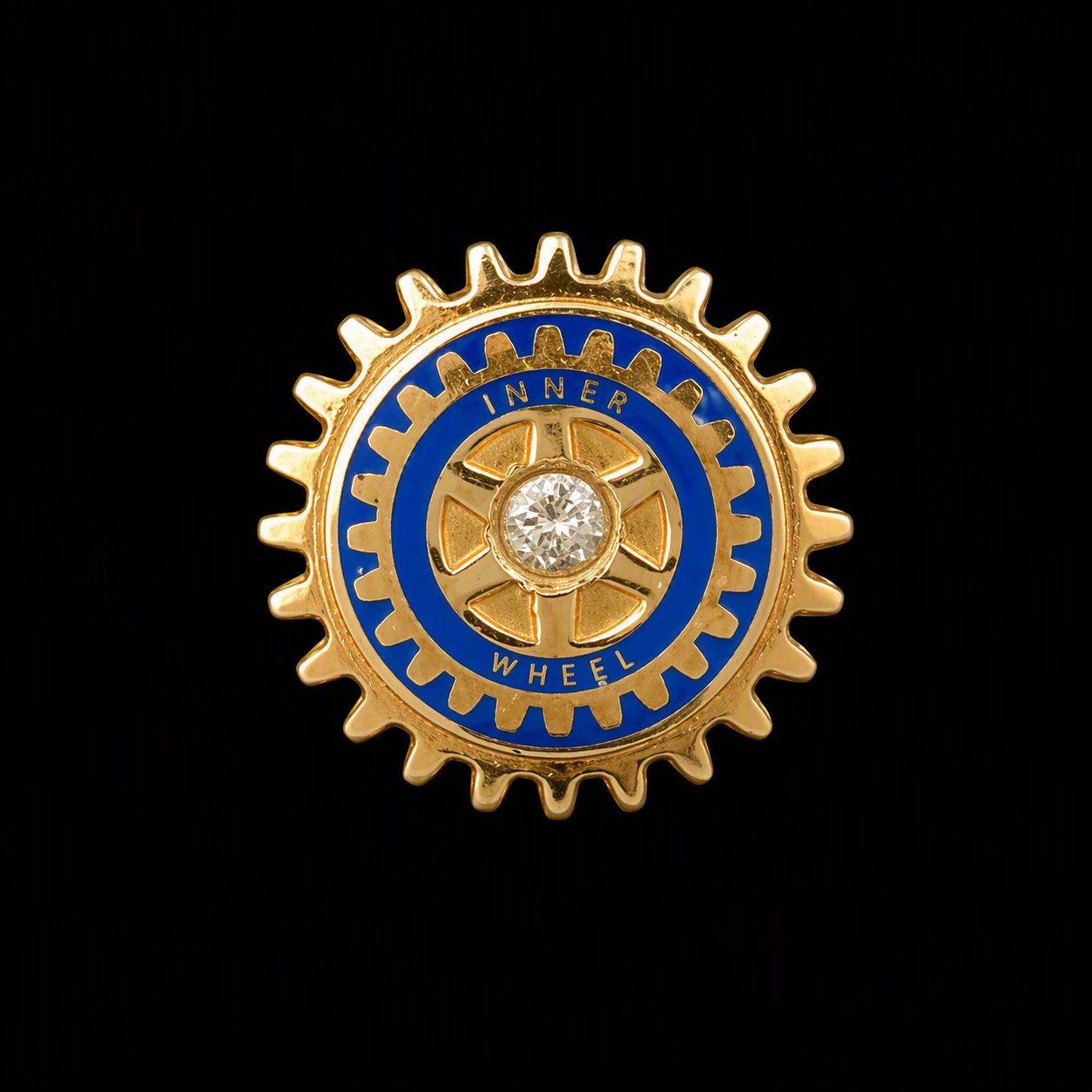 inner-wheel-past-president-06-02-03-inner-wheel-pin-past-president.jpg