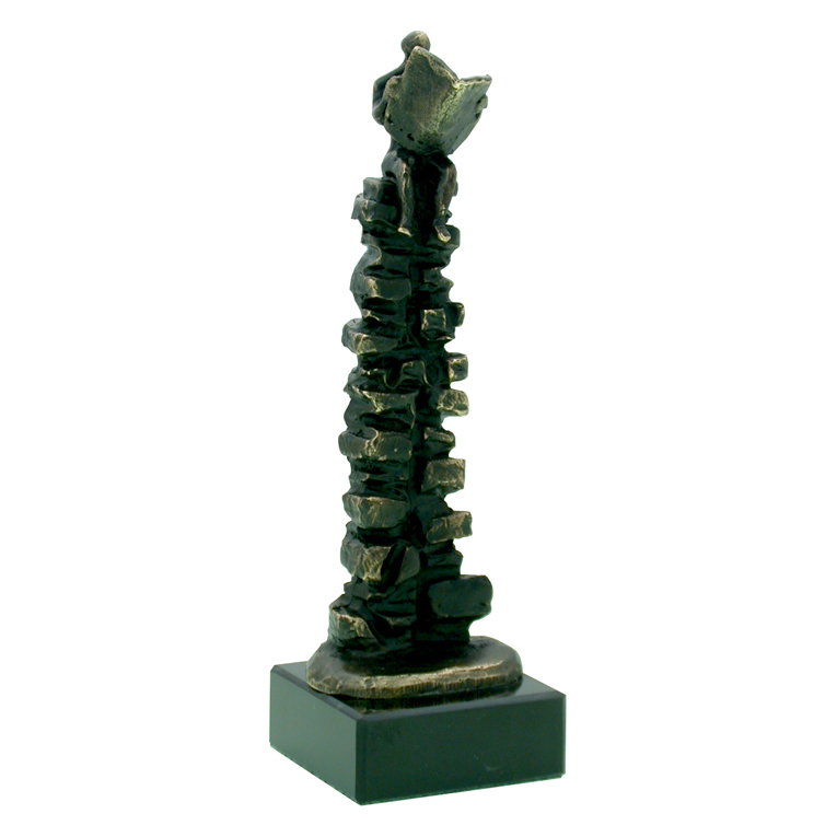 bronzen-award-een-steengoede-positie-03-01-04-metalen-awards-bronzen-awards-311sb.jpg