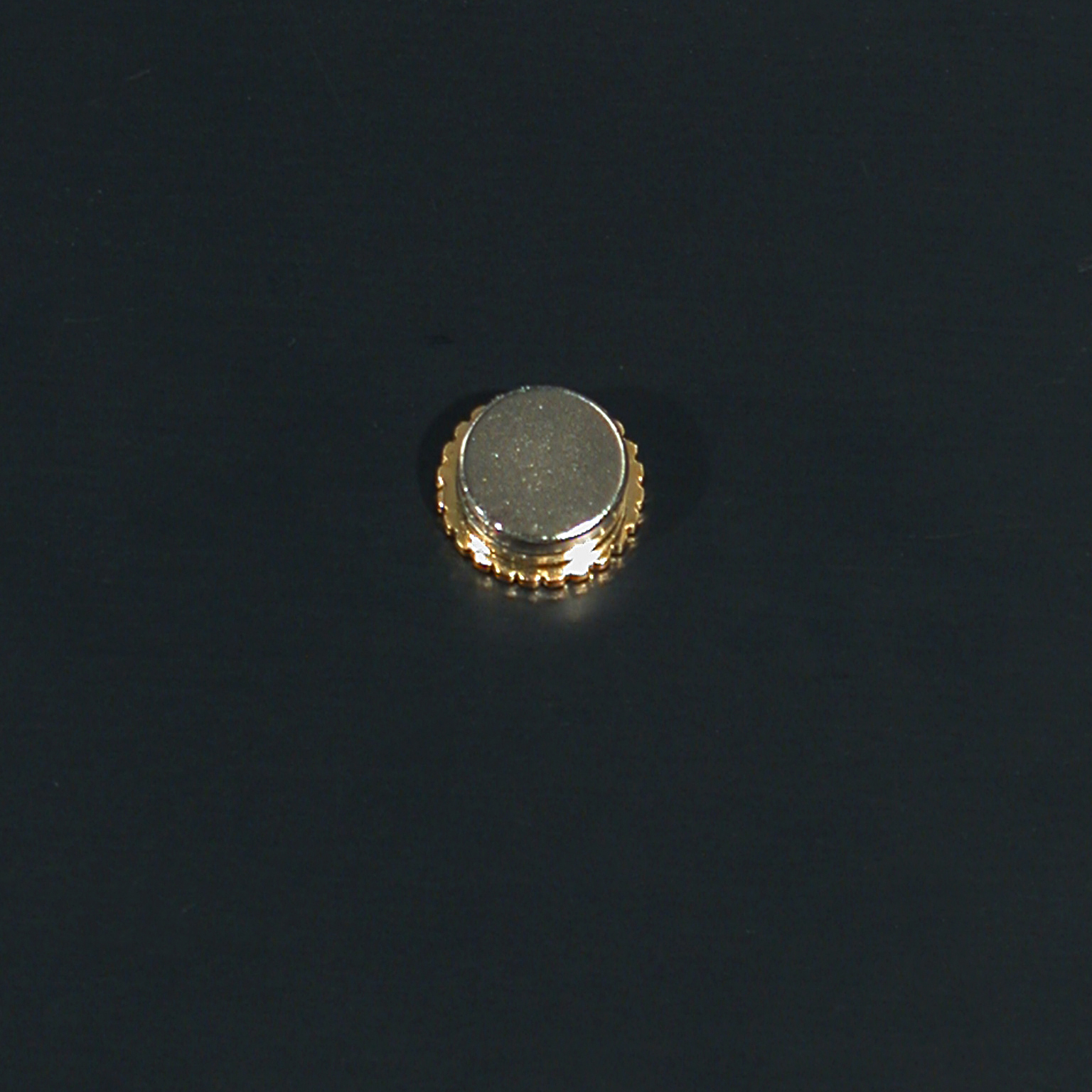 roatry-pin-o12mm-op-magneet-5-stuks-06-01-09-rotary-pin-op-magneet-keerzijde-2.jpg
