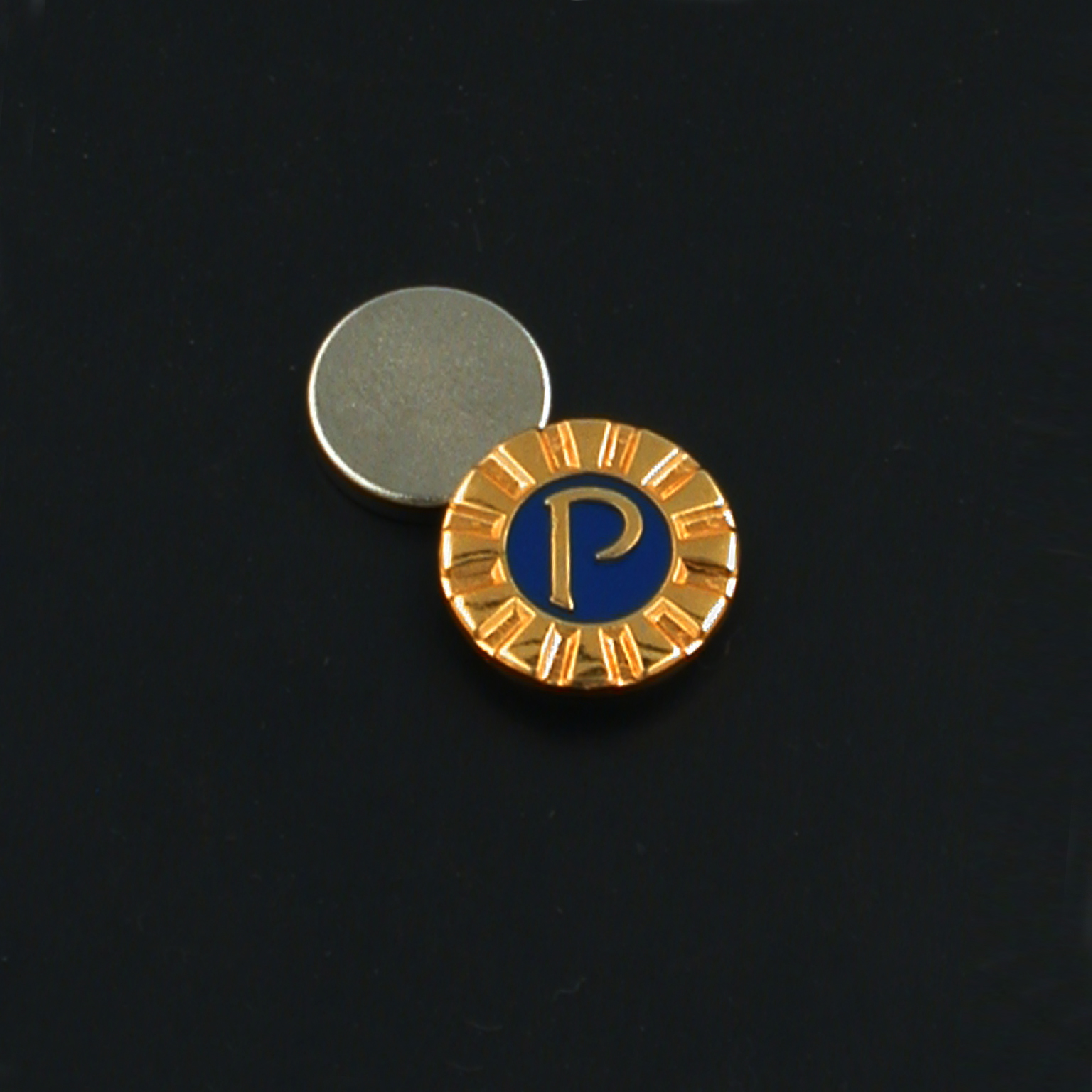 probus-pin-o12mm-op-magneet-5-stuks-06-03-06-probus-pin-o12mm-op-magneet.jpg