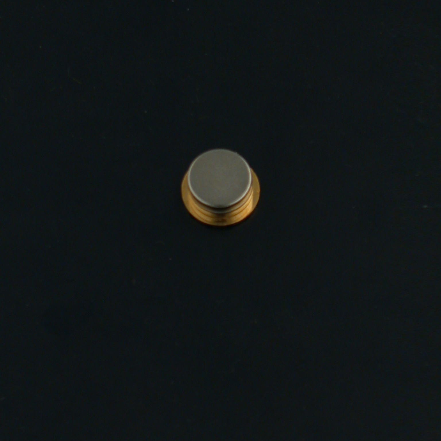 probus-pin-o12mm-op-magneet-5-stuks-06-03-06-probus-pin-o12mm-op-magneet-keerzijde-2.jpg